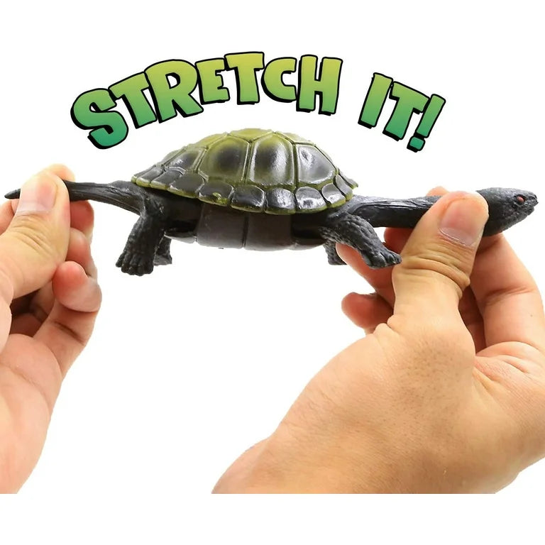 Stretch Turtle