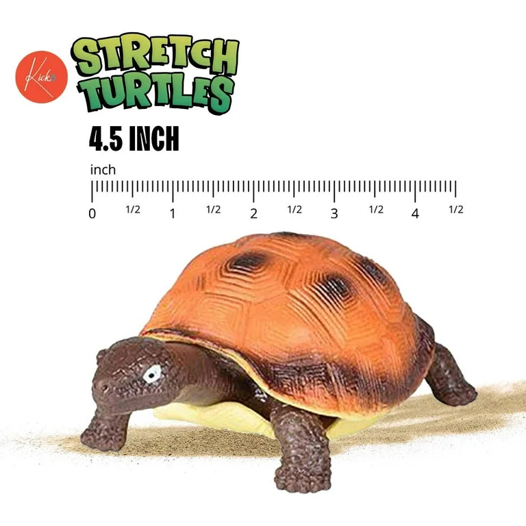 Stretch Turtle