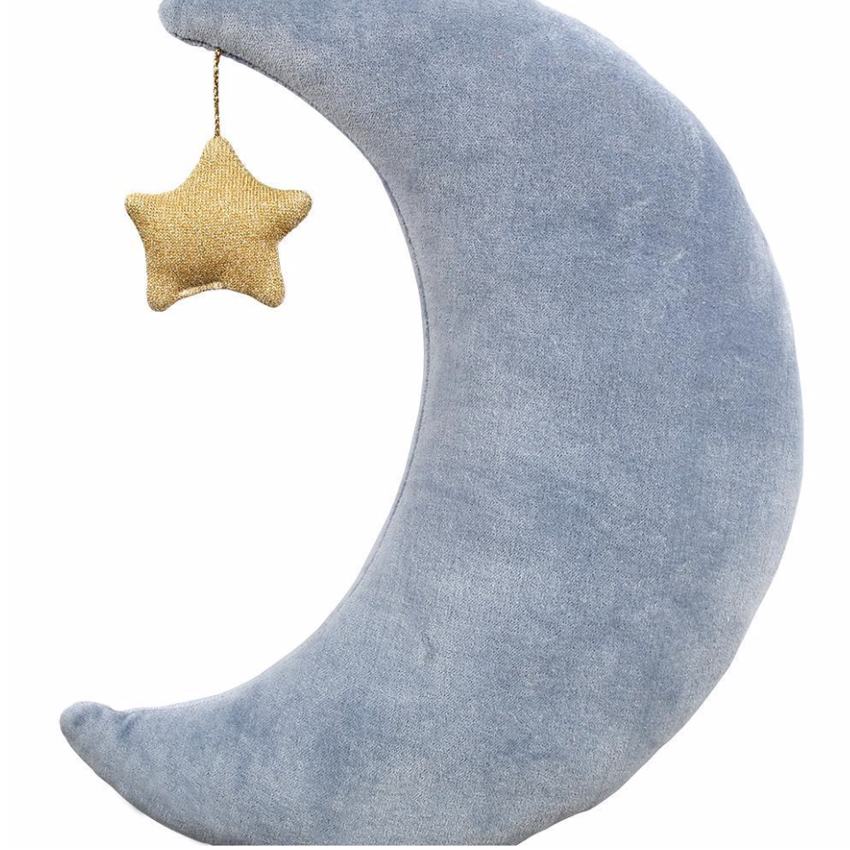 Velvet Moon Cushion