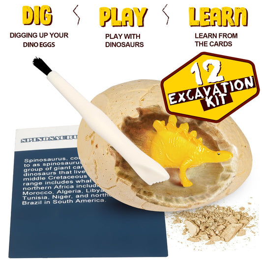 Dino Egg Kit