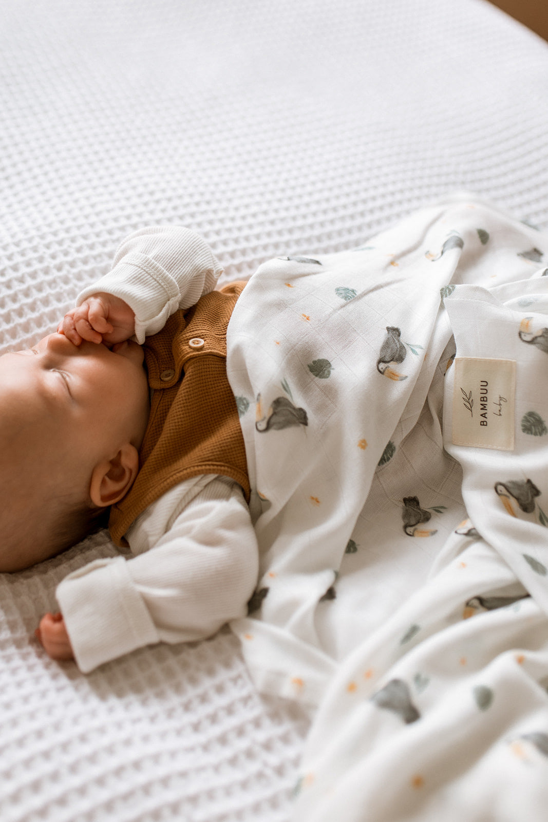 100% Bamboo Blanket