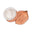 Little Coconuts logo