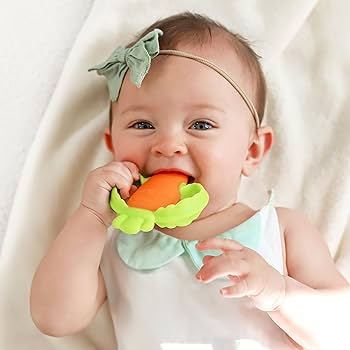 Little Nibbles Carrot Teether