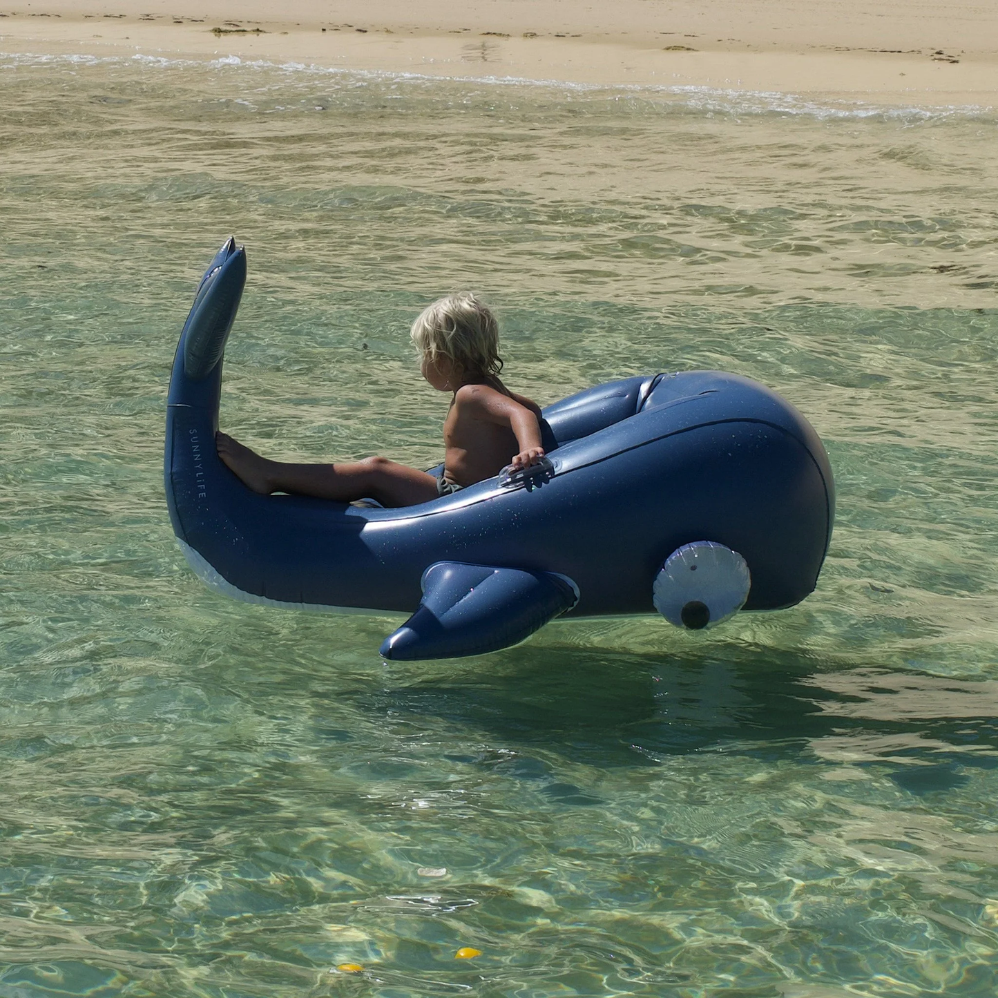 Moby Dick Navy Luxe Ride-On Float
