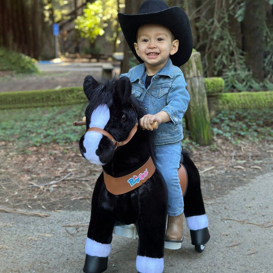 Black with white hoof horse
