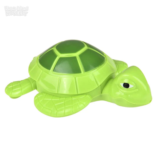 Wind Up Turtle